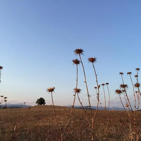 Residenza D'epoca La Commenda Casa de Campo Manciano